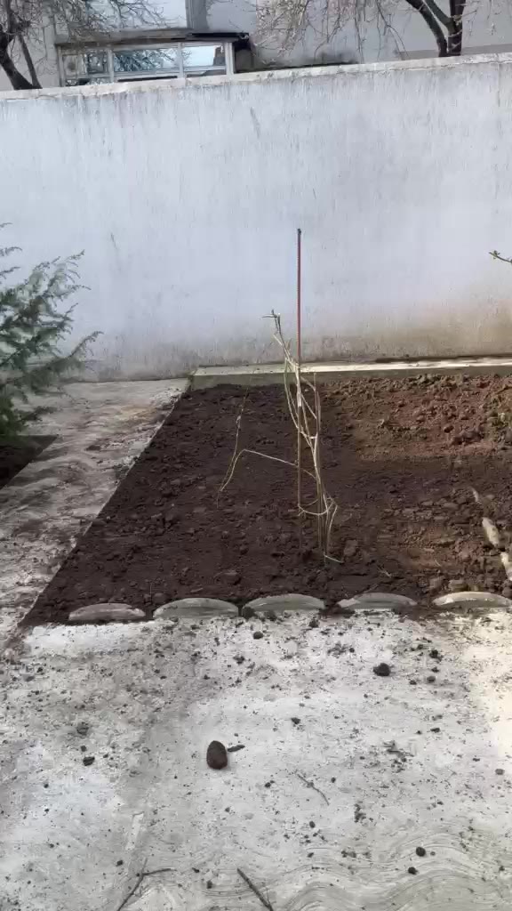 Video lucrare Alex Constructii